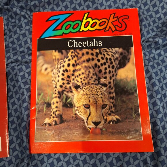 zoobooks - Picture 7 of 8